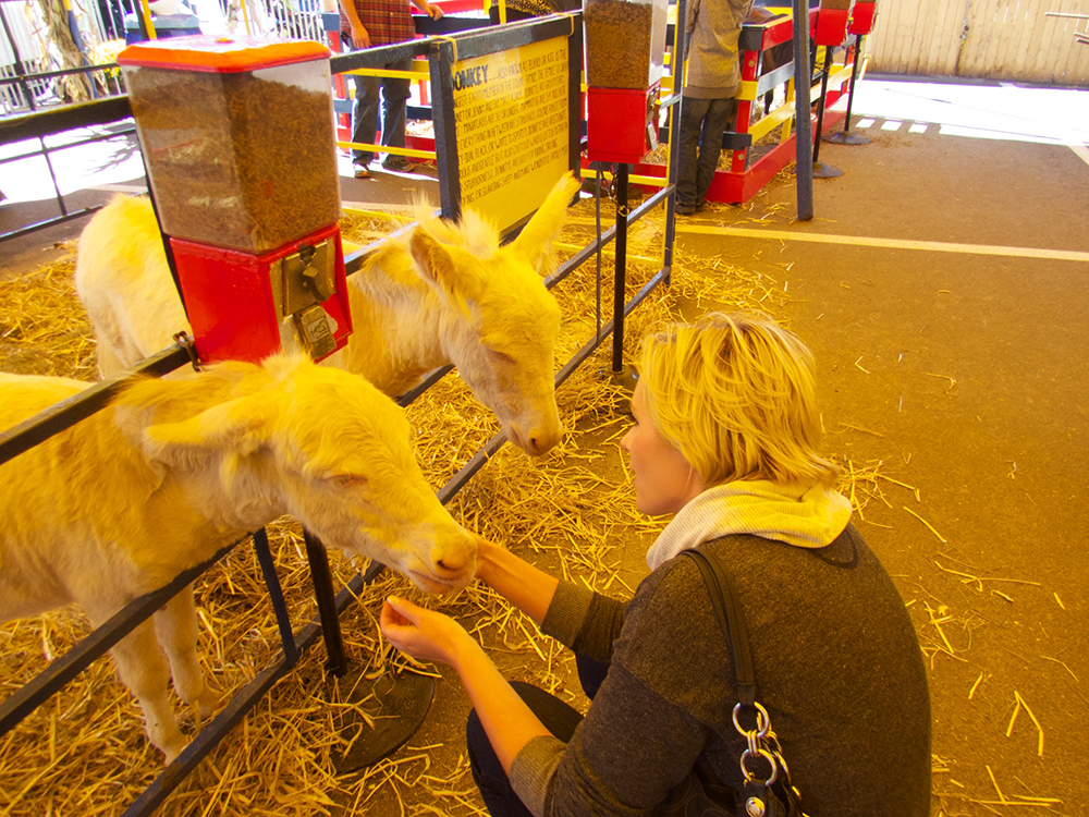 Petting Zoos