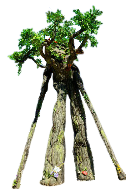 Oakley the Tree Man
