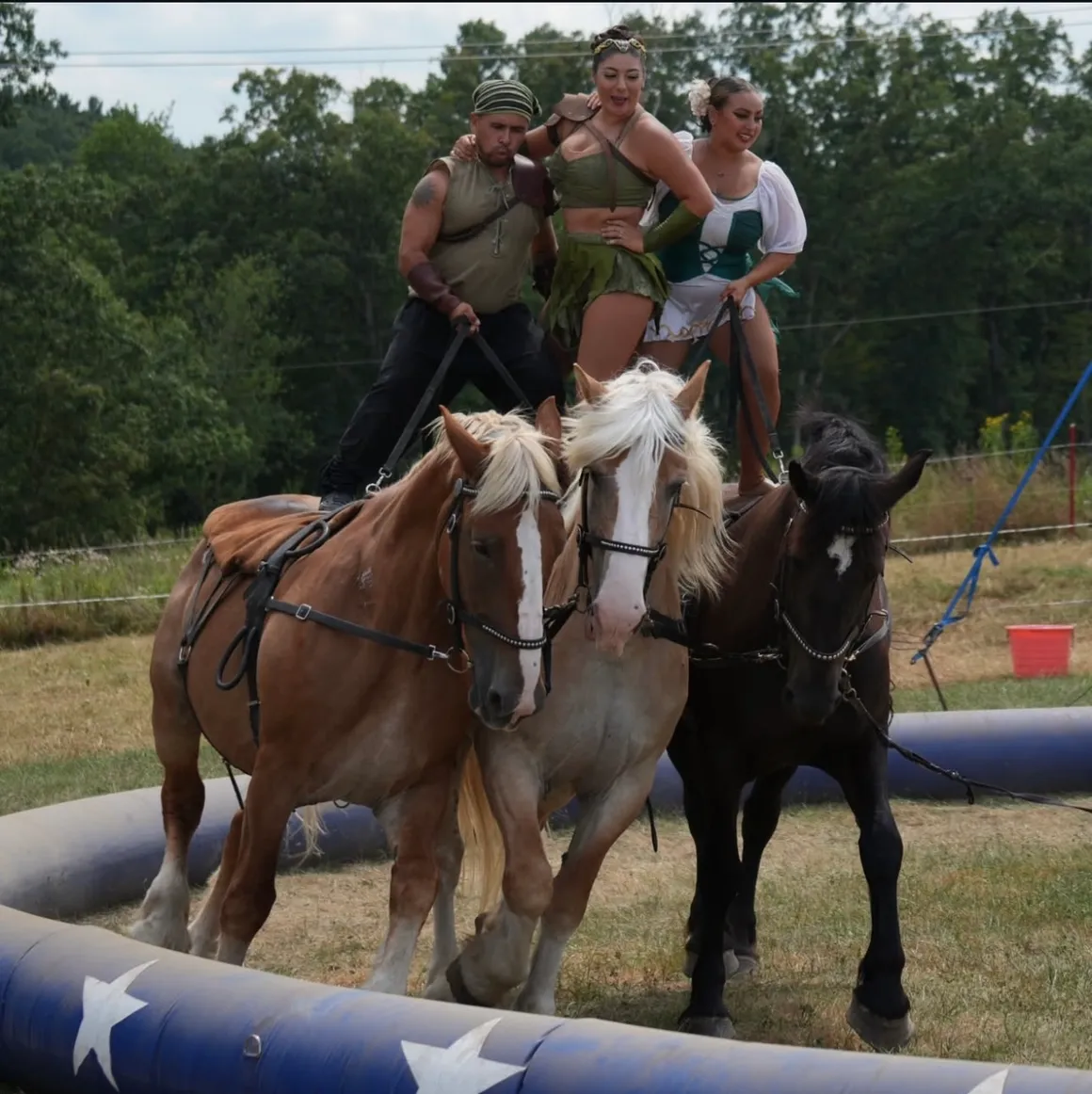 Loyal Horses